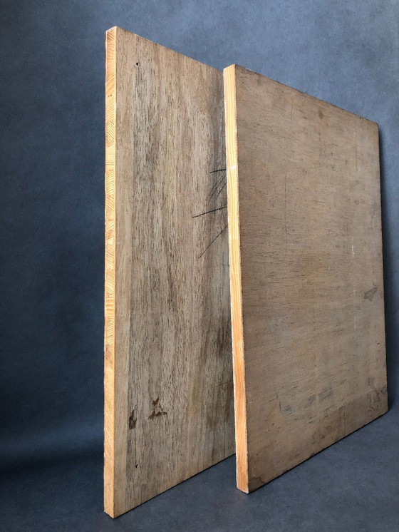 Image 1 of Set of 2 vintage wooden panels with print patterns 1960s / 1970s