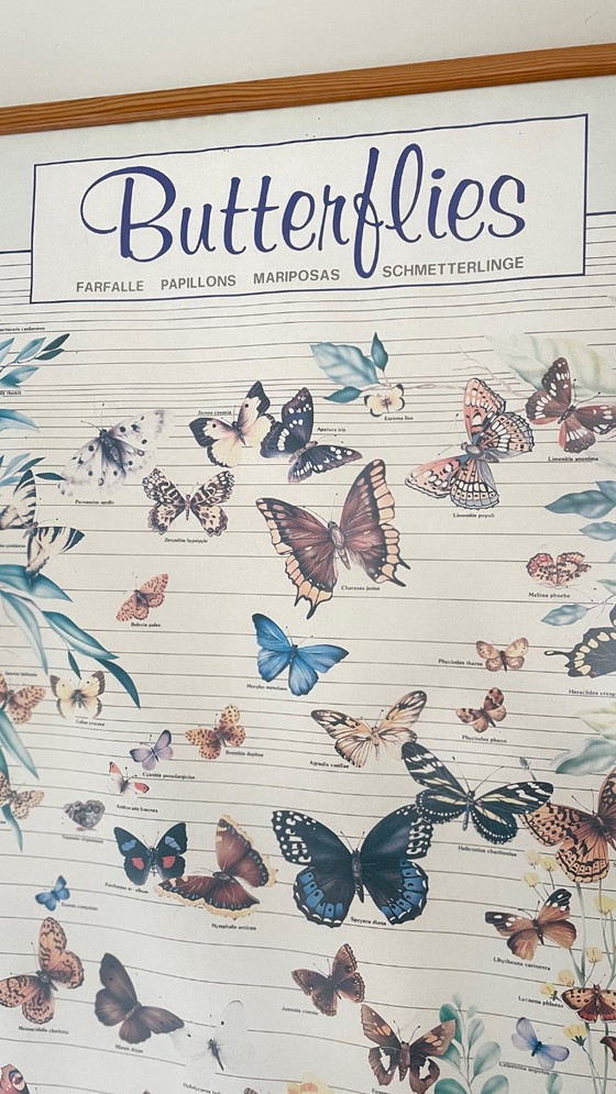 Image 1 of Poster vintage italiano con farfalle