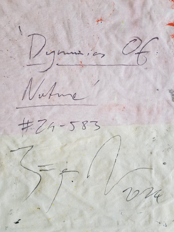 Image 1 of Jürgen Angeler - Natuurdynamica