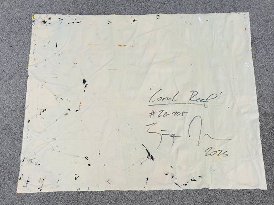 Image 1 of Jürgen Angeler - Coral Reef