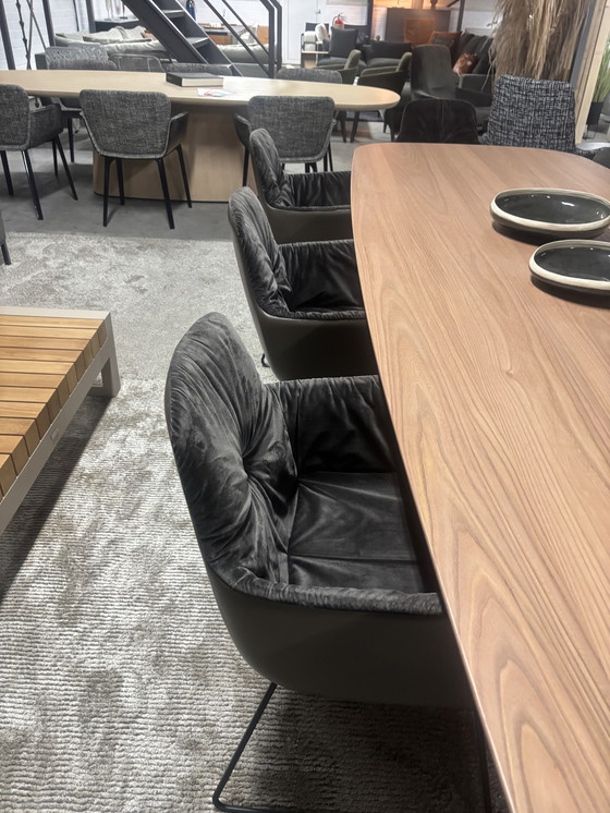 Image 1 of Freifrau Leya bracciolo alto in pelle abbinata tessuto taupe velluto 6 pezzi disponibili