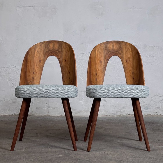 Image 1 of Juego de cuatro sillas de comedor de Antonín Šuman para Tatra Nábytok, años 60 - Totalmente reformadas