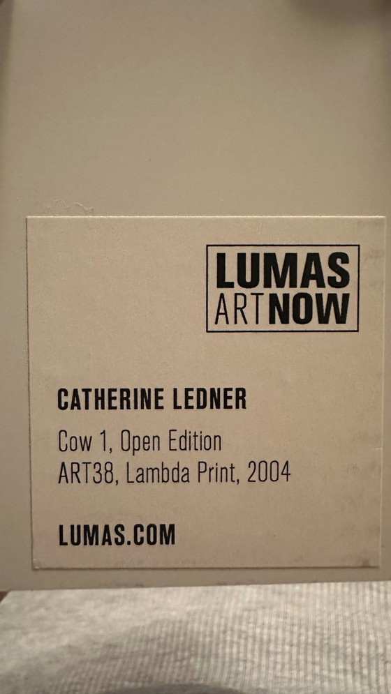 Image 1 of Lumas - Catherine Ledner 2004
