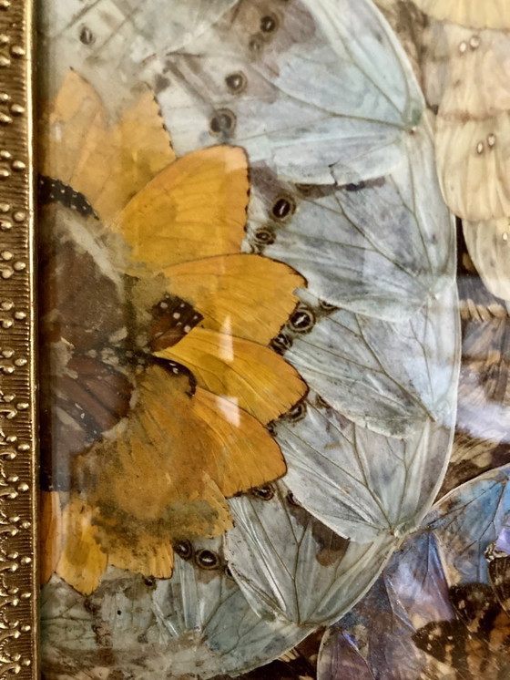 Image 1 of Composizione astratta incorniciata a forma di ali di farfalla