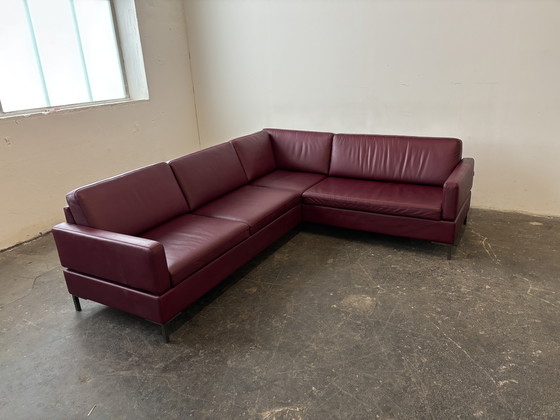 Image 1 of Brühl Alba designer sofa couch, leather, top condition!