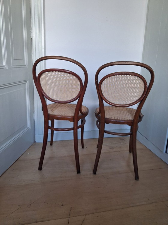 Sedie Thonet originali (1890) n. 15 – Sedie da pranzo, Legno (photo 5 of 5)