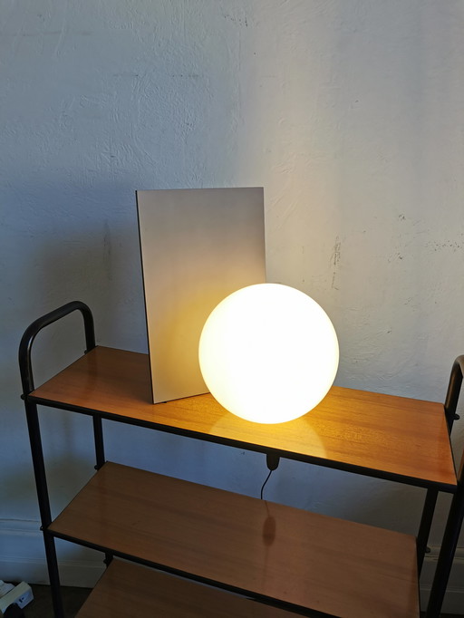 Flos Extra T