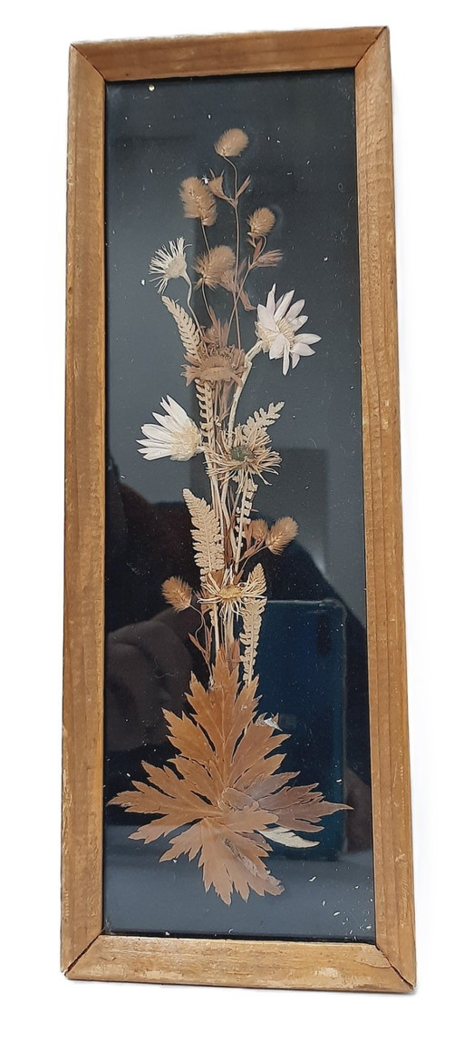 Vintage Wood Frame Natural Dried Flowers, Herbarium Edelweiss