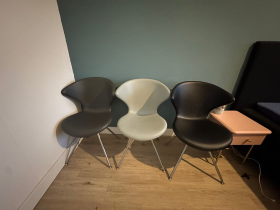 Image 1 of 6X TONON Concept 902 tacto suave