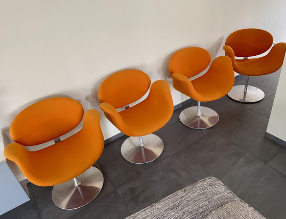 Image 1 of 4 x Tulip Artifort.