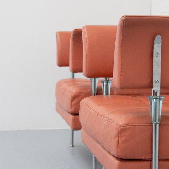 Image 1 of Set van 2 Hydra Sirius Fauteuils Poltrona Frau 