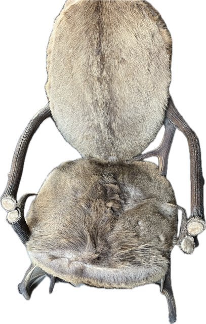 Image 1 of Coppia di poltrone antiche uniche con corna di cervo