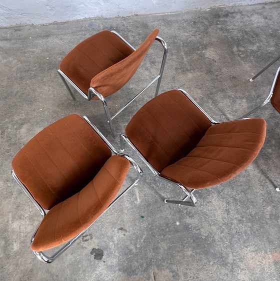 Image 1 of Dodo Chair - Hungarian Mid-Century Design, 1960s