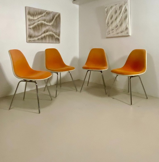 Image 1 of Juego de 4 sillas DSW Eames – Herman Miller (1952)