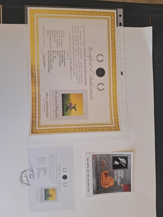 Image 1 of Eric LESPINASSES - Colibrì colorato - Litografia d'artista