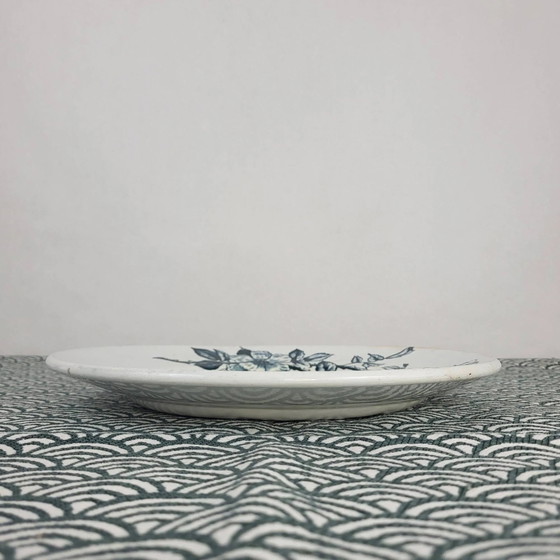 Piatto in maiolica Creil & Montereau, modello Rosa, XIX secolo – Stoviglie, Porcelain (photo 7 of 7)