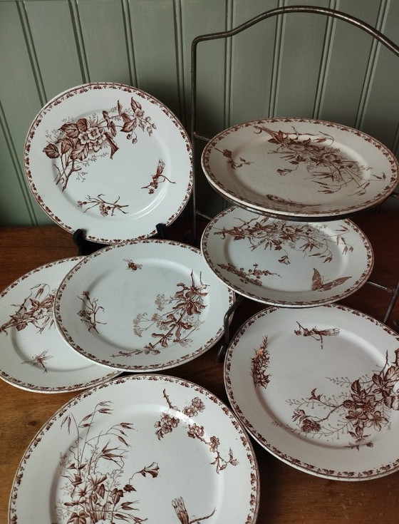 Image 1 of "Carmen" - 5 dinner plates ø 23.5cm ironstone Sarreguemines U&C