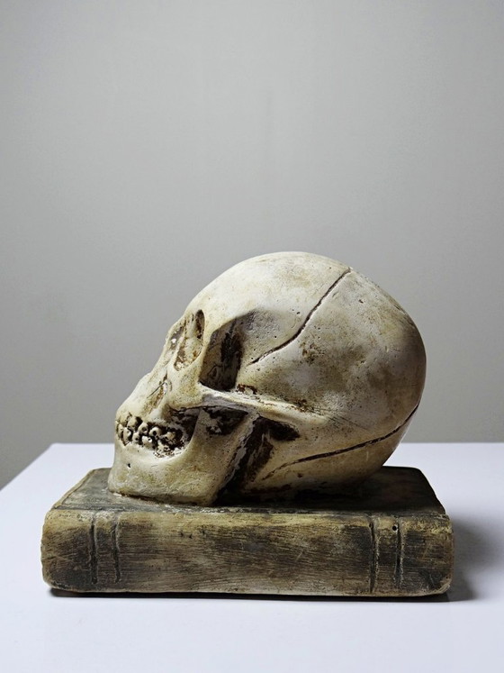 Image 1 of Ancien Memento Mori en plâtre, crâne sur livre, curiosité fin XIXe début XXe