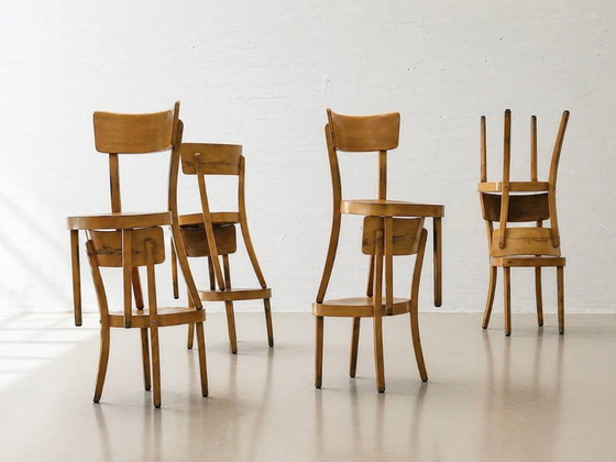 Image 1 of Set van 6 gebogen houten stoelen, gemaakt van massief hout, Thonet ZPM Radomsko, Polen, jaren 1950.