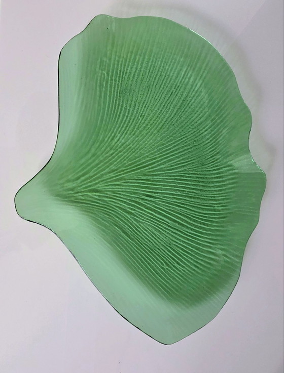 Ginkgo Biloba, ciotola da portata, vetro, Ciotole, Verde (foto 8 di 11)