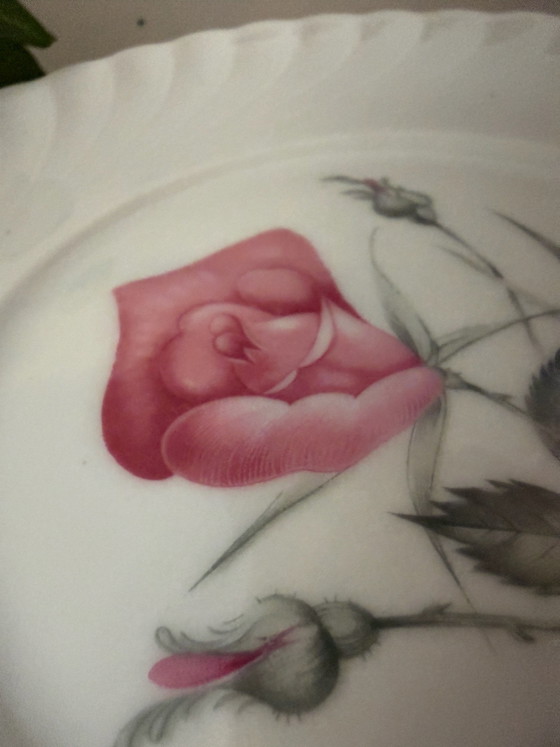 Set of 6 porcelain pastry plates, Crockery, Pink (photo 4 of 6)