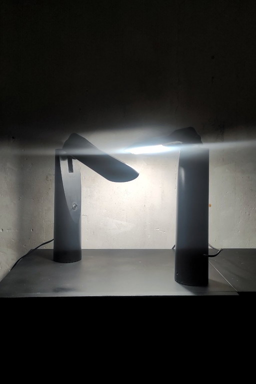 Paire de lampes Picchio de Luxo