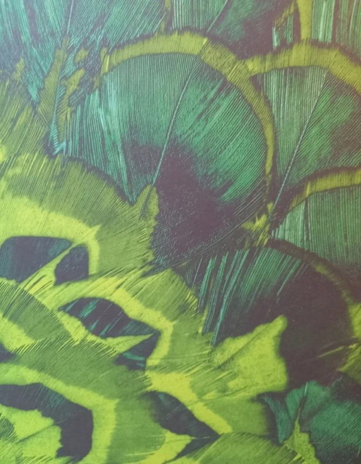 Papel pintado fotográfico/papel pintado no tejido con plumas de pavo real - Marca Komar