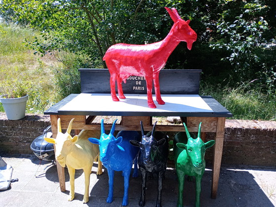 Image 1 of Cloned Red goat sweetlove William 