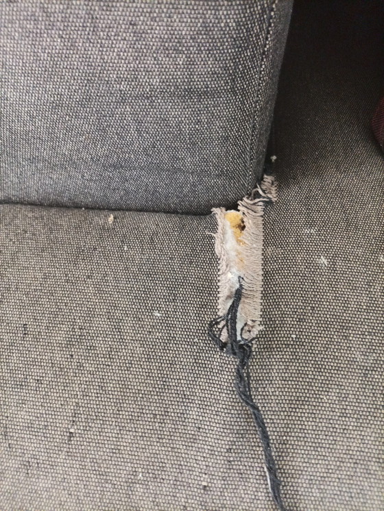 Image 1 of Opium Cinna Sofa und Meridian