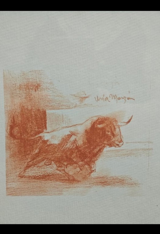 Image 1 of Sale el Toro frame, Monzón