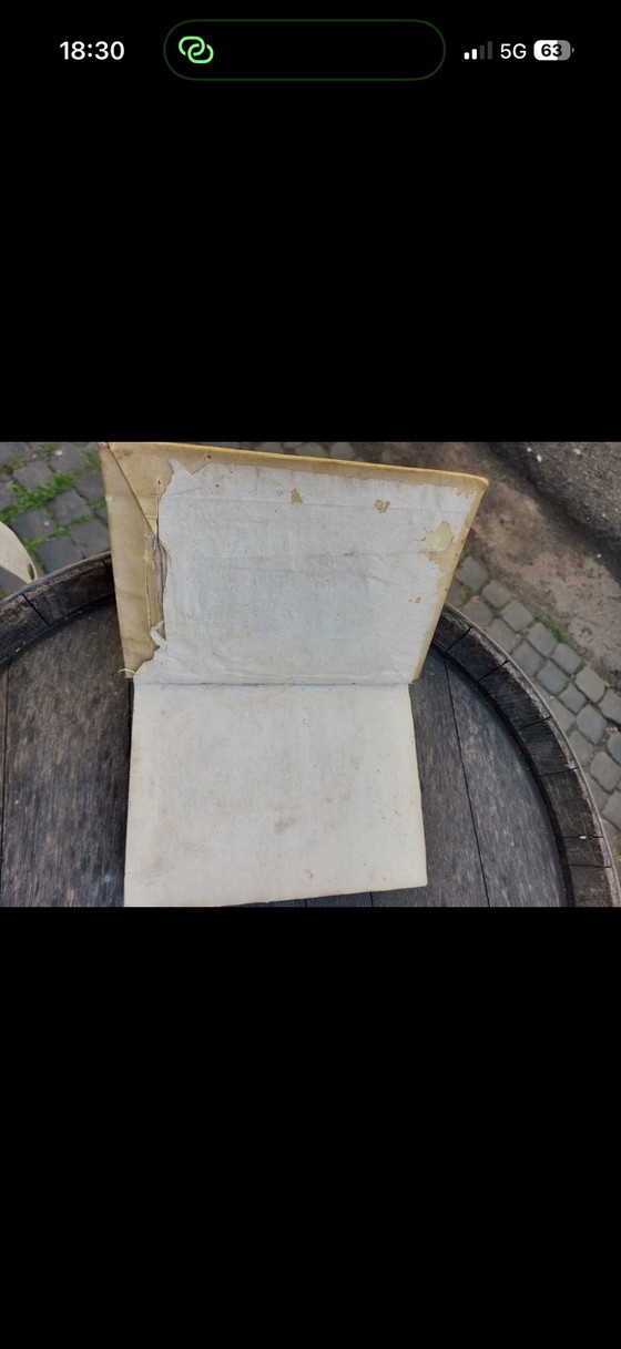 Oddo degli Oddi, Raro libro di medicina del 1574, Stampe artistiche, Carta, Bianco (foto 8 di 11)