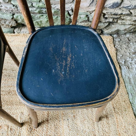 Set di quattro sedie da bistrò vintage in legno curvato – Sedie da pranzo (photo 17 of 18)