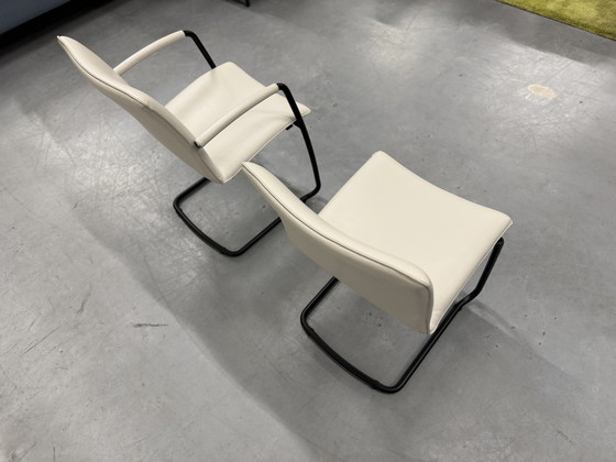 Image 1 of 2 Leolux Freyr Sedia da pranzo Senso Pampas