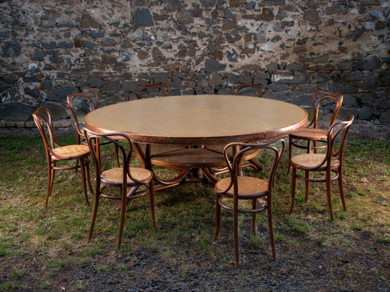 Image 1 of Juego de comedor, Thonet o J. & J. Kohn, década de 1900-1930, Imperio austrohúngaro