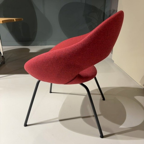 Image 1 of Sedia da pranzo Artifort Shark (set di 4)