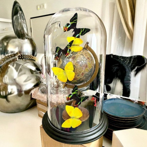 Real butterflies on globe artwork under glass dome limited edition