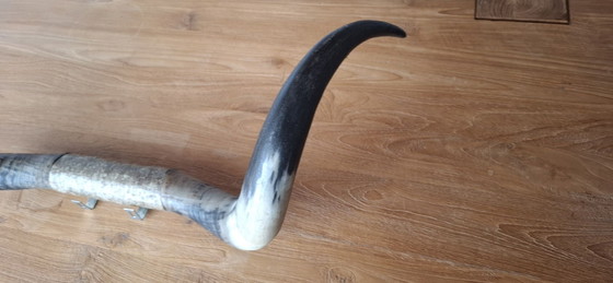 Kuhhörner – Wanddekoration, Andere, Metall (photo 3 of 8)