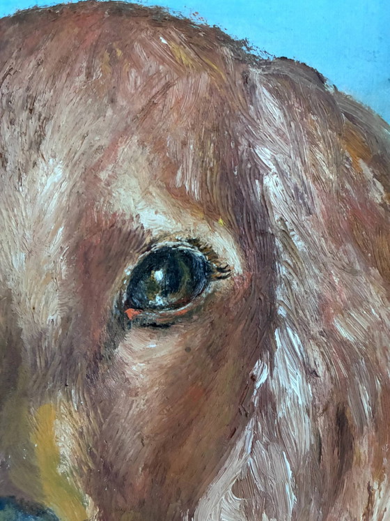 Vintage original dog portrait oil painting, signed animal art – Paintings & Drawings, Wood, Canvas (photo 6 of 19)