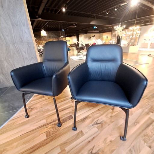 Leolux Gyon dining chair (set of 6)