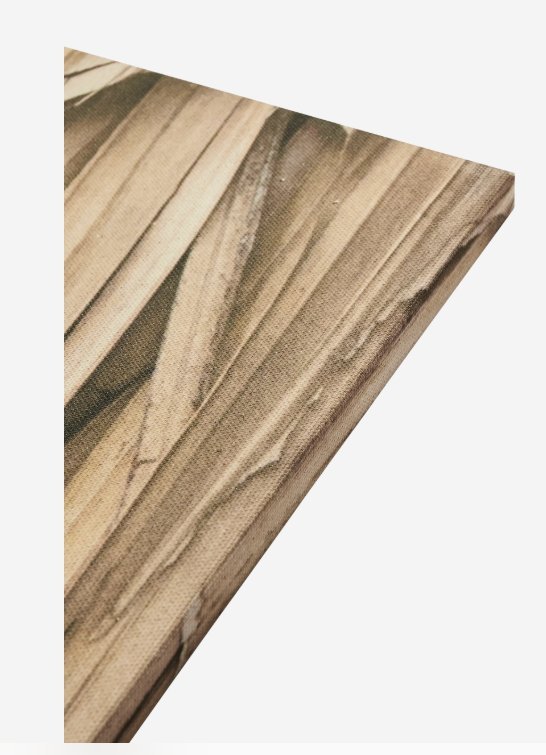 Image 1 of Boconcept - Layers of Leaves Kunstgalerie