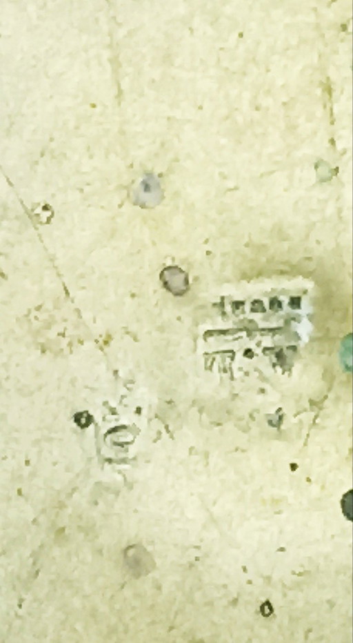 candelabro Bezalel Jerusalem unico - bronzo multitono - Boris Schatz (ca 1920)