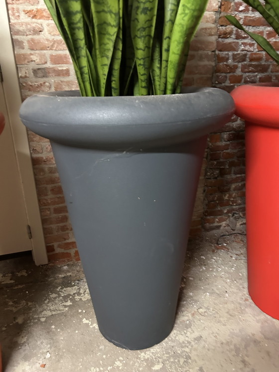 3 XXXL Plant pots – G00000, Plastic (photo 8 of 9)