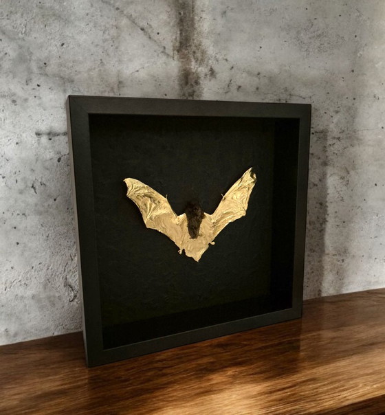 Image 1 of Genuine Bat 23kt Gold Gilded in Frame Taxidermy Artwork