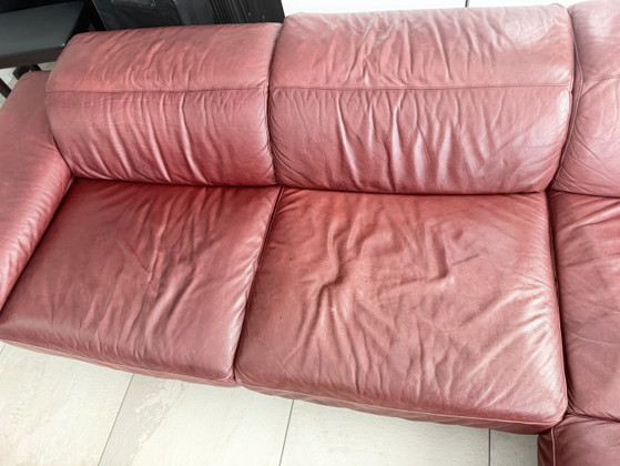 Divano Natuzzi – Divani angolari, Leather, Metal (photo 3 of 7)