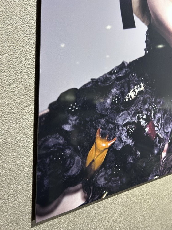 Image 1 of Decorazione murale Montel Mystery