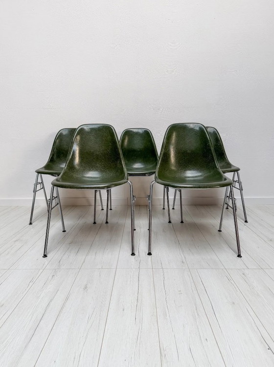Image 1 of 1/25 Sedia laterale vintage Herman Miller Eames in fibra di vetro, verde oliva, Charles & Ray Eames, anni '70