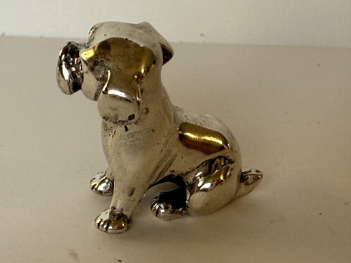 Chiot en argent massif Saturno