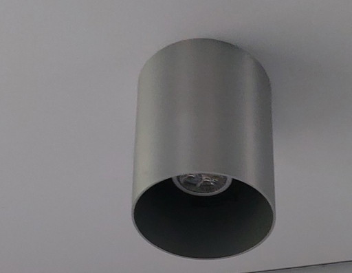 Cilindervormige plafondlamp, rvs