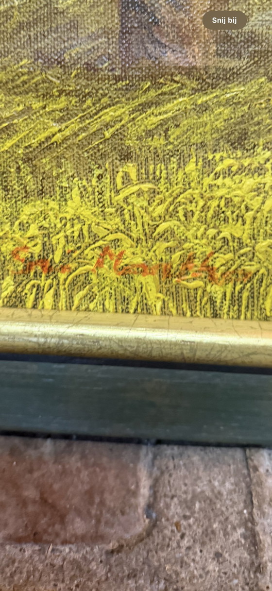 Image 1 of Prachtig olieverfschilderij van Sy Nguyen 