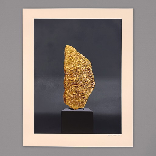 Screen print "Natural Artifacts IV" by Axel Rössler, signed by hand